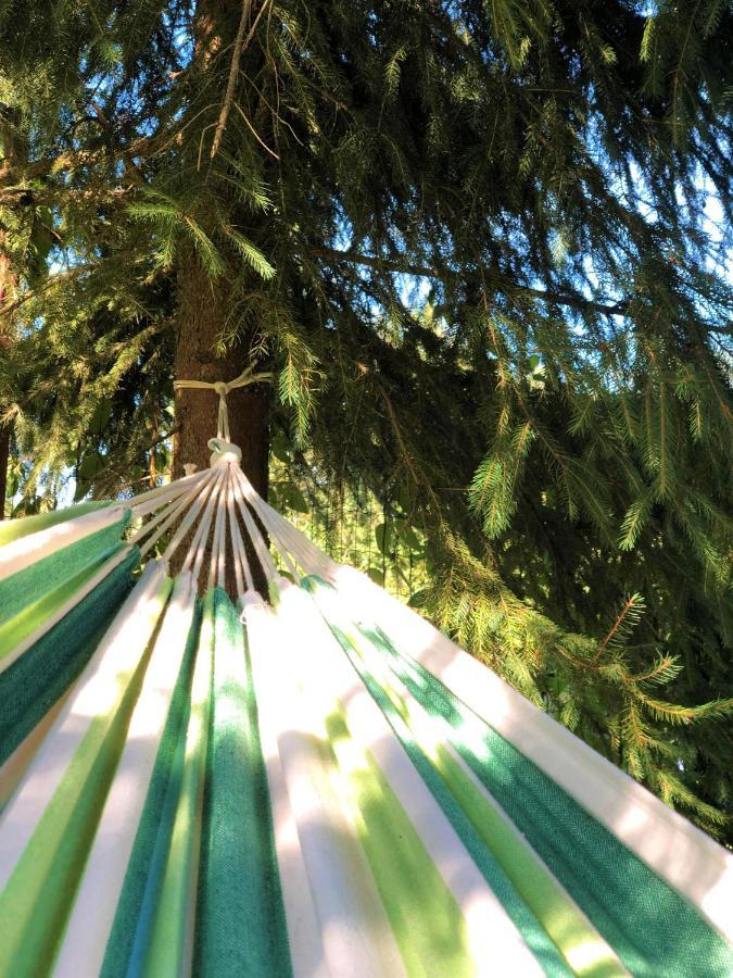 Cabana Din Padure Otel Porumbacu de Sus Dış mekan fotoğraf