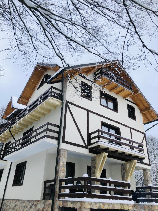 Cabana Din Padure Otel Porumbacu de Sus Dış mekan fotoğraf