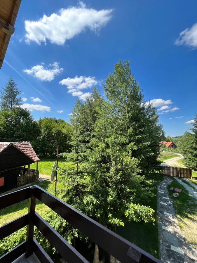 Cabana Din Padure Otel Porumbacu de Sus Dış mekan fotoğraf