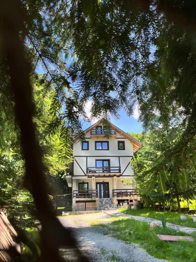 Cabana Din Padure Otel Porumbacu de Sus Dış mekan fotoğraf