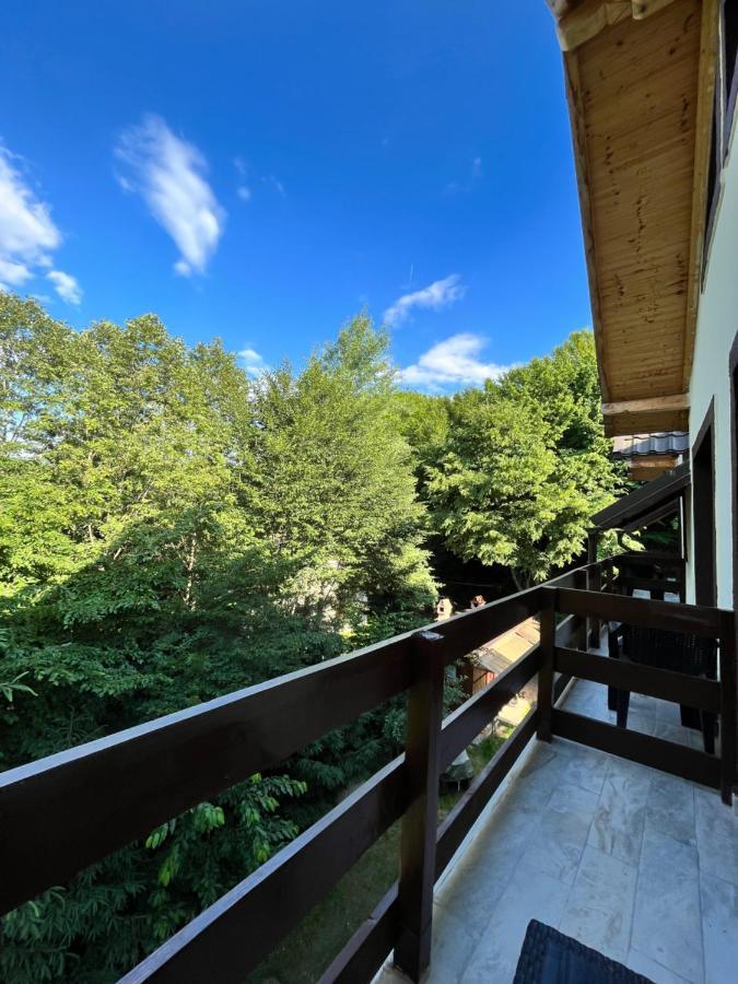 Cabana Din Padure Otel Porumbacu de Sus Dış mekan fotoğraf