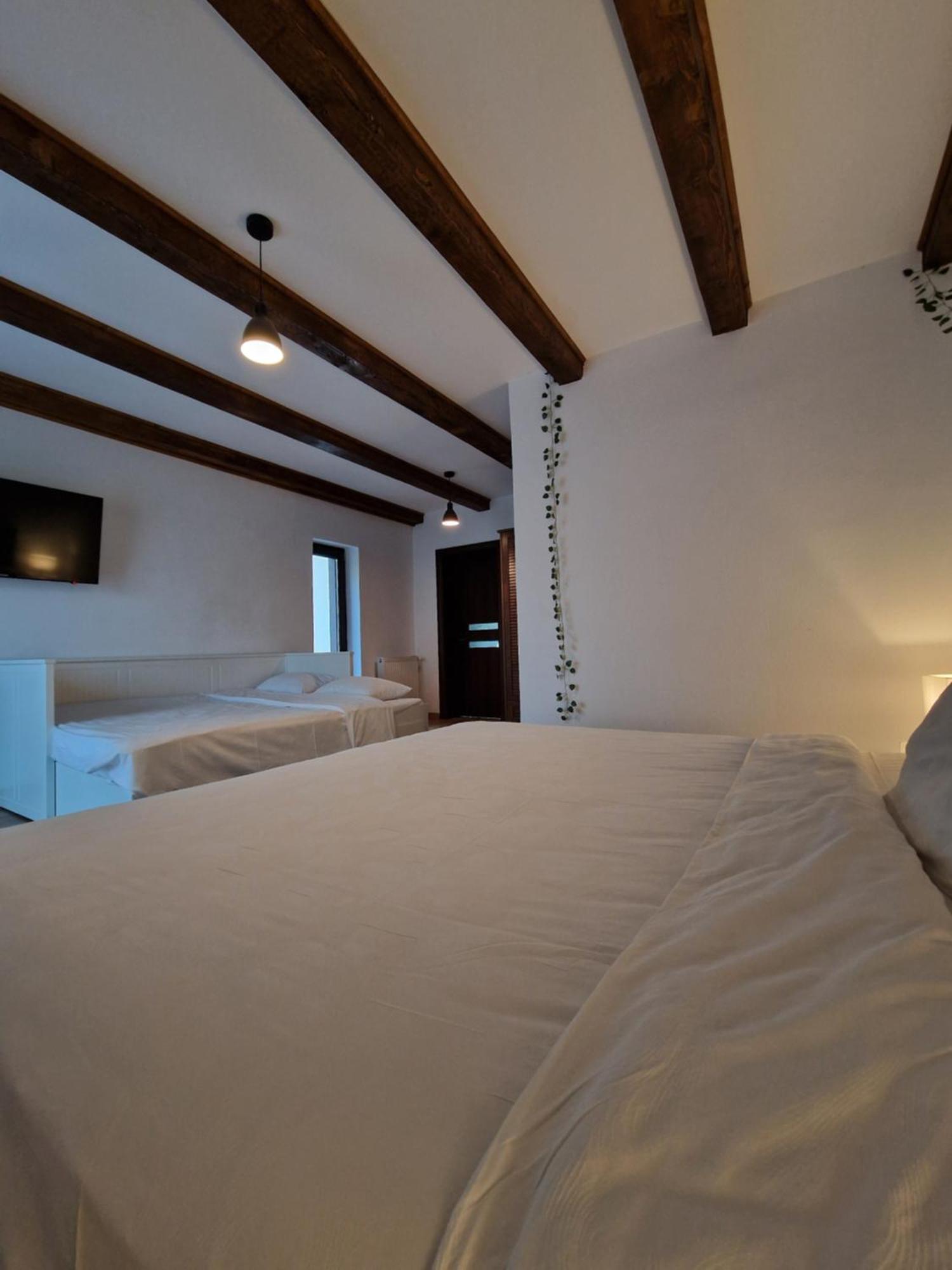 Cabana Din Padure Otel Porumbacu de Sus Dış mekan fotoğraf